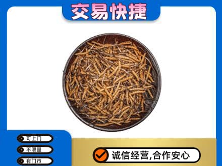 汉中市高价回收散虫草